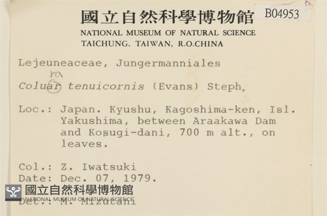 登錄號:B00004953藏品圖，第1張