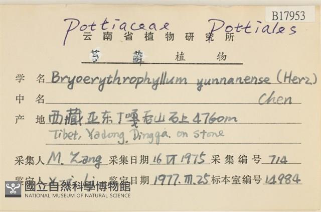 登錄號:B00017953藏品圖，第2張