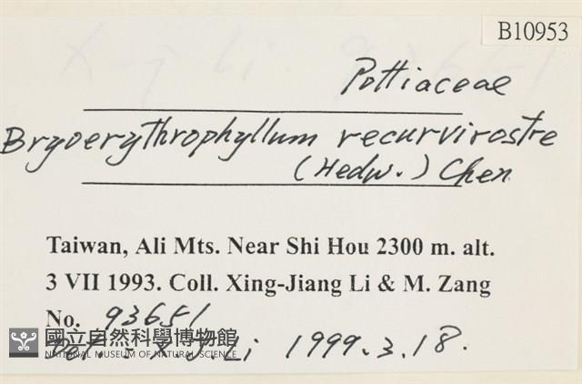 登錄號:B00010953藏品圖，第2張