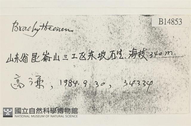 登錄號:B00014853藏品圖，第2張