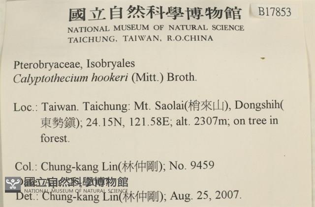 登錄號:B00017853藏品圖，第2張