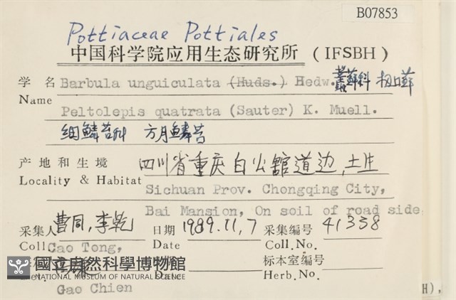扭口蘚藏品圖，第2張