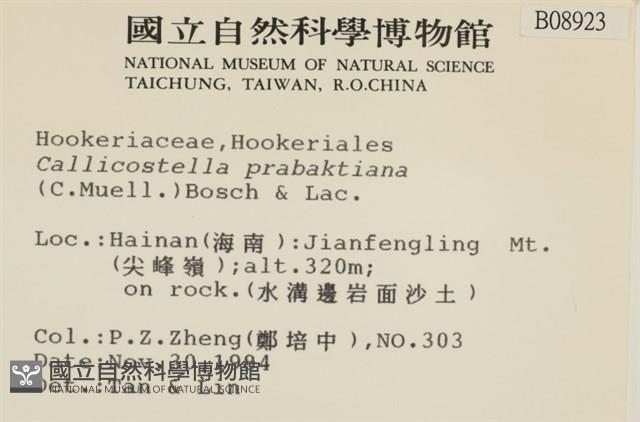 登錄號:B00008923藏品圖，第2張