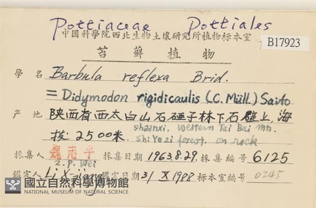 友葉扭口蘚藏品圖，第2張
