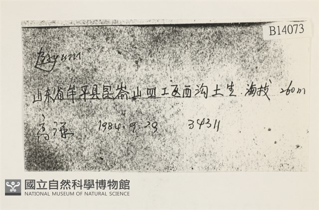 登錄號:B00014073藏品圖，第2張