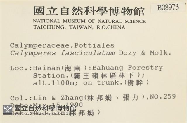 劍葉花葉蘚藏品圖，第2張