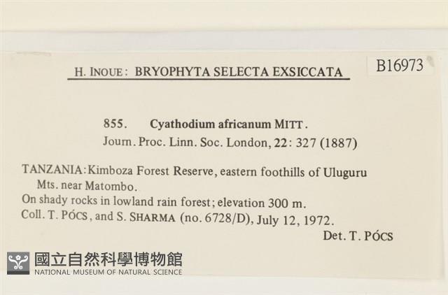 登錄號:B00016973藏品圖，第2張