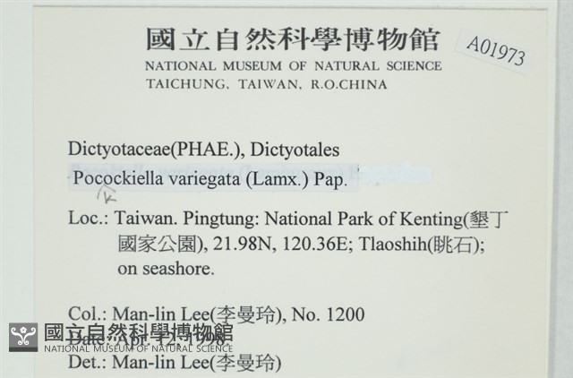 登錄號:A00001973藏品圖，第2張