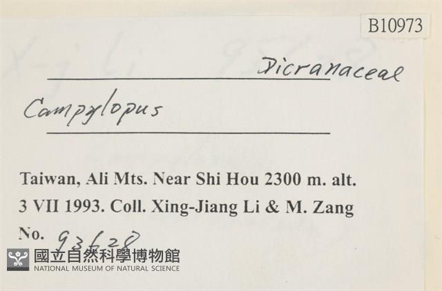 登錄號:B00010973藏品圖，第2張