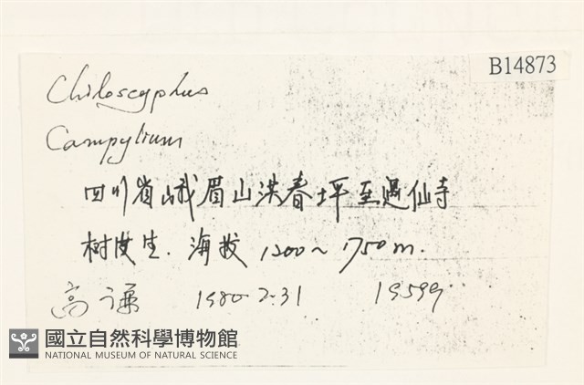 登錄號:B00014873藏品圖，第2張