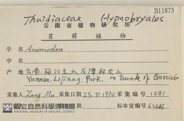 登錄號:B00011873藏品圖，第2張