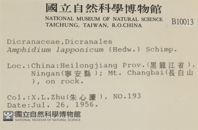 瓶蘚藏品圖，第2張