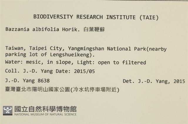 登錄號:B00021113藏品圖，第2張