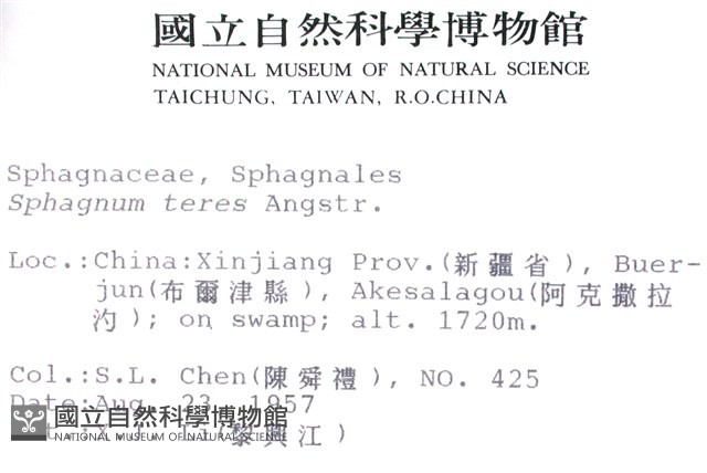 細葉泥炭蘚藏品圖，第2張