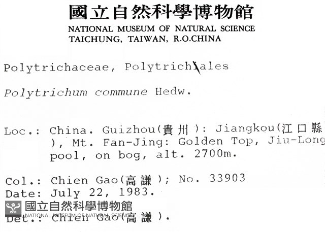 金髮蘚藏品圖，第2張
