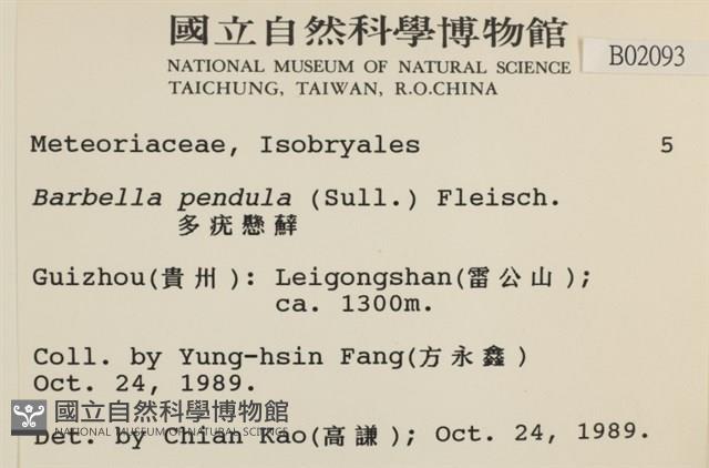 多疣懸蘚藏品圖，第2張