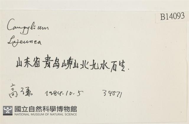 登錄號:B00014093藏品圖，第2張