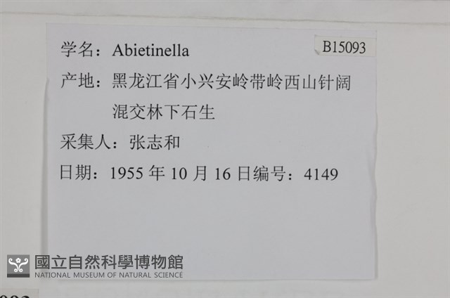 登錄號:B00015093藏品圖，第2張