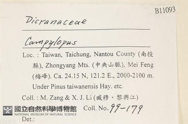 登錄號:B00011093藏品圖，第2張