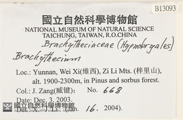 登錄號:B00013093藏品圖，第2張