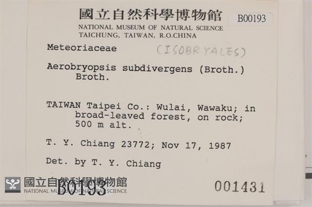 大灰氣蘚藏品圖，第2張