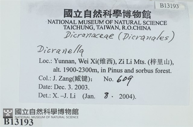 登錄號:B00013193藏品圖，第2張