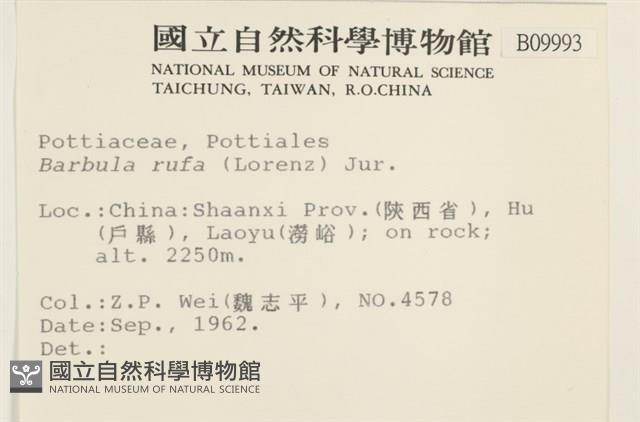 登錄號:B00009993藏品圖，第2張