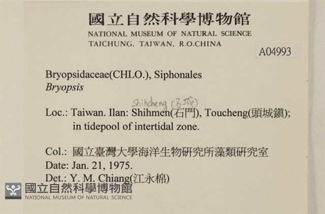 登錄號:A00004993藏品圖，第2張