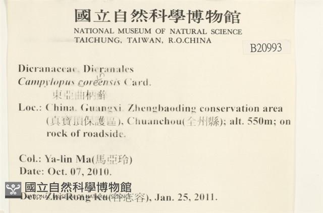 東亞曲柄蘚藏品圖，第2張