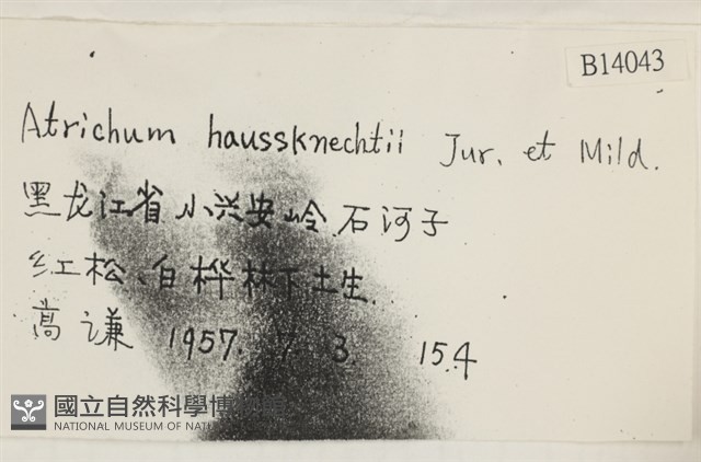 仙鶴蘚藏品圖，第2張