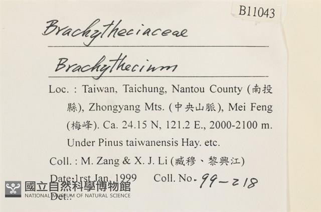 登錄號:B00011043藏品圖，第2張