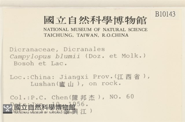登錄號:B00010143藏品圖，第2張
