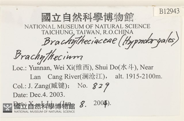 登錄號:B00012943藏品圖，第2張