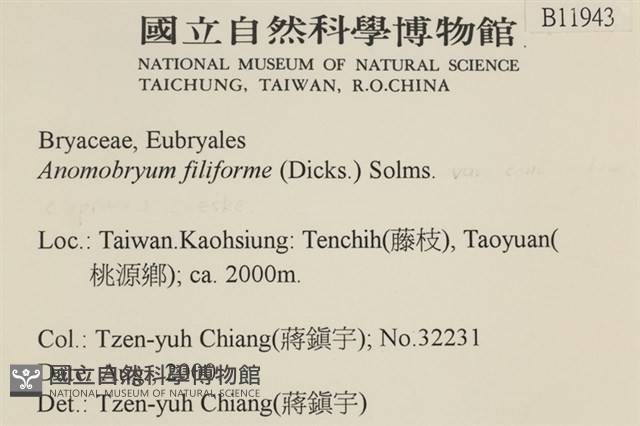 登錄號:B00011943藏品圖，第2張