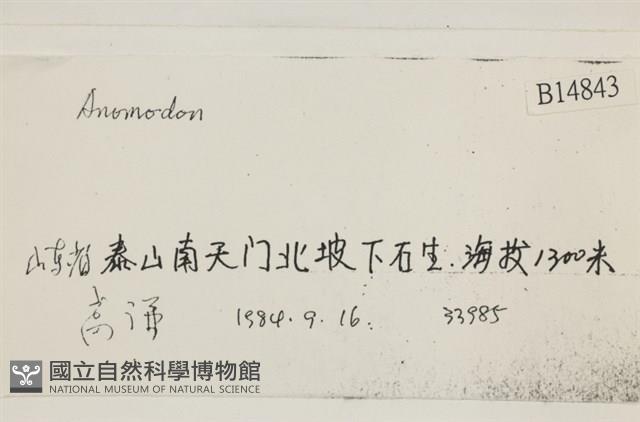 登錄號:B00014843藏品圖，第2張