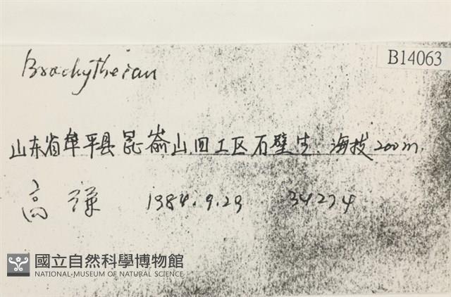 登錄號:B00014063藏品圖，第2張