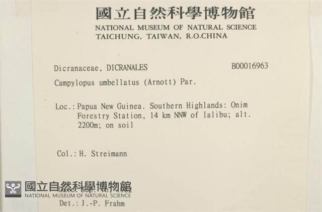 登錄號:B00016963藏品圖，第2張