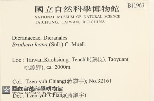 登錄號:B00011963藏品圖，第2張