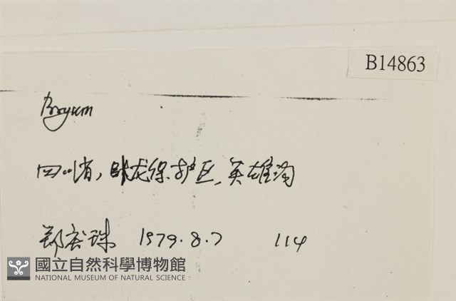 登錄號:B00014863藏品圖，第2張