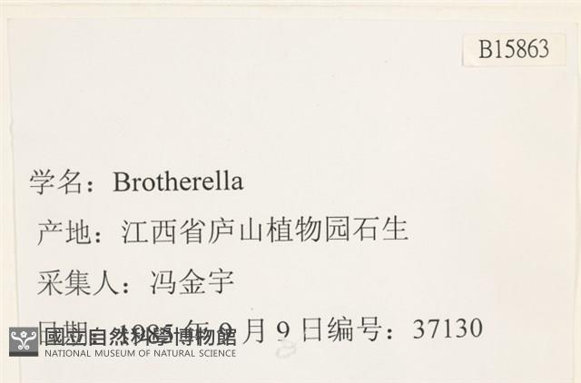 登錄號:B00015863藏品圖，第2張