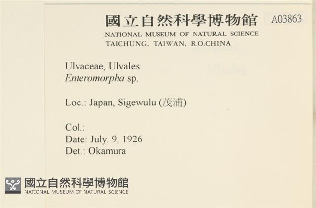 登錄號:A00003863藏品圖，第2張