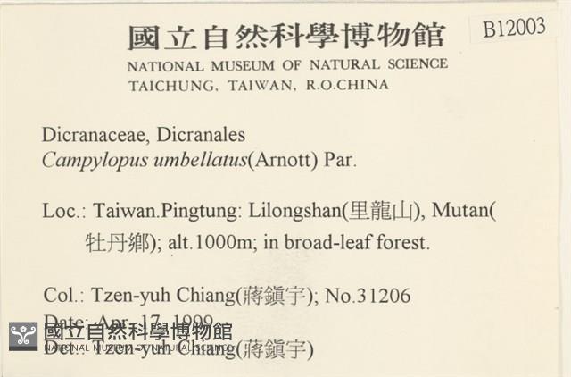 登錄號:B00012003藏品圖，第2張