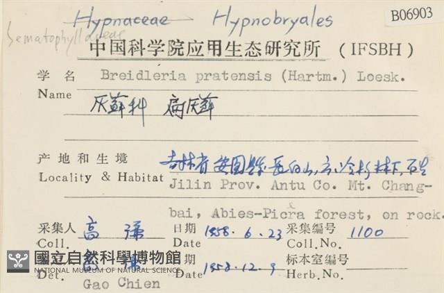 扁灰蘚藏品圖，第2張