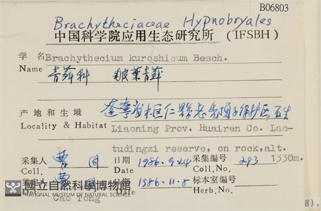 皺葉青蘚藏品圖，第2張