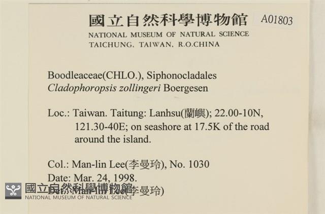 登錄號:A00001803藏品圖，第2張