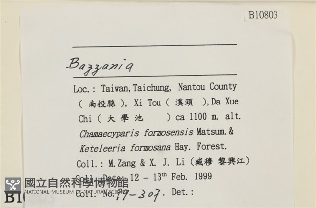 登錄號:B00010803藏品圖，第2張