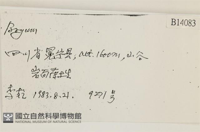 Accession Number:B00014083 Collection Image, Figure 2, Total 2 Figures