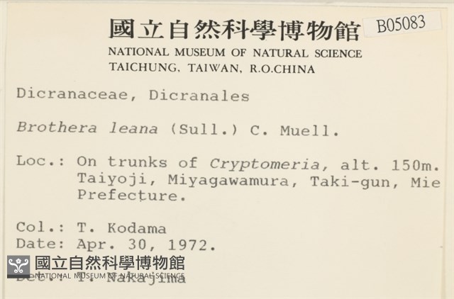 登錄號:B00005083藏品圖，第2張