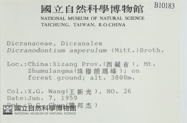 粗毛青毛蘚藏品圖，第2張