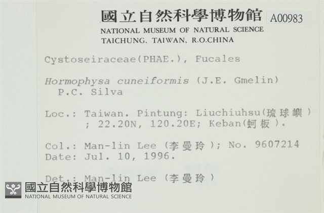 登錄號:A00000983藏品圖，第2張